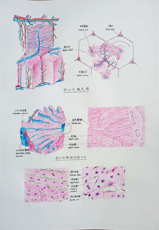 公海jcjc5500线路检测