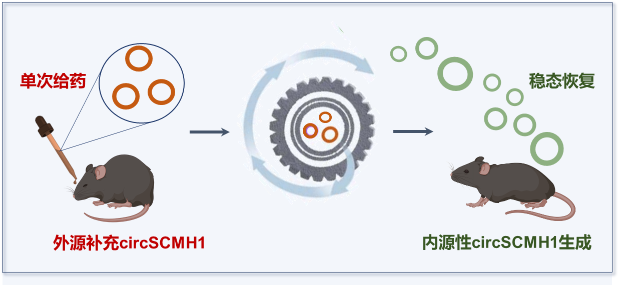 公海jcjc5500线路检测